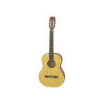 Акустическая гитара Aria A-10 MTN