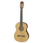 Акустическая гитара Aria A-10 N