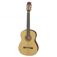 Акустическая гитара Aria A-10 N