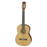 ΠΠΊΡΡΡΠΈΡΠ΅ΡΠΊΠ°Ρ Π³ΠΈΡΠ°ΡΠ° Aria A-10 N