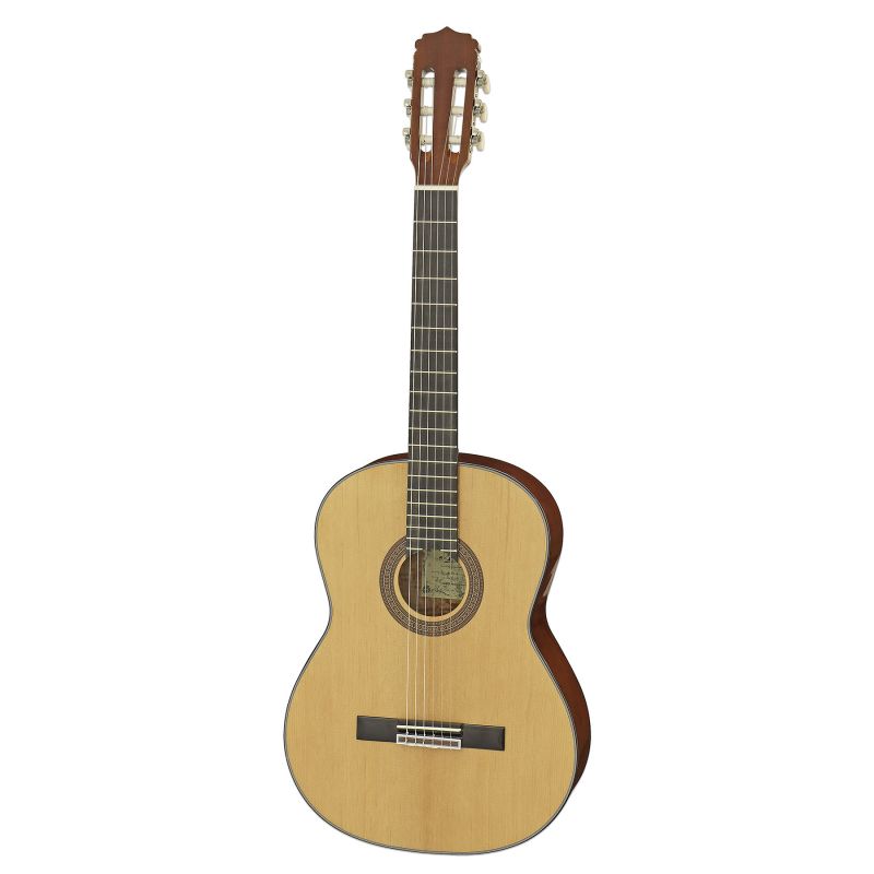 Акустическая гитара Aria A-10 N