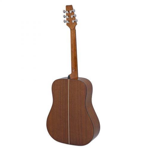 Акустична гітара Aria AD-10 MTN