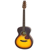 Акустическая гитара Aria AF-10 TS