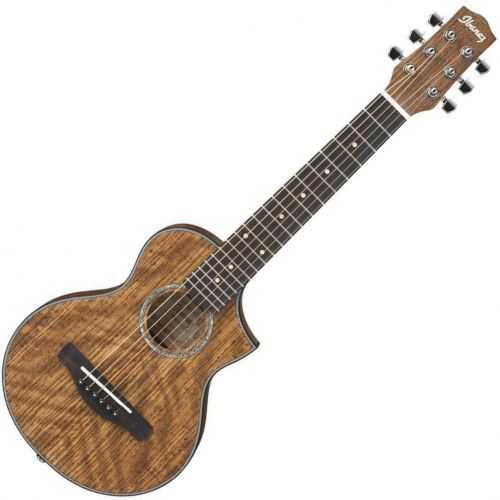 Акустическая гитара IBANEZ EWP14WB OPN