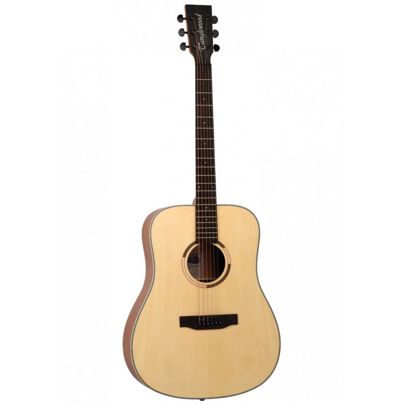 Акустическая гитара TANGLEWOOD TR5