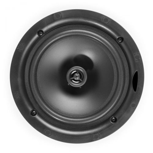 Акустический комплект SKY SOUND SUBT-10B/FLC-6,5 (2*40Вт) BLACK