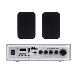 Акустический комплект SKY SOUND WSE-2402 BLACK