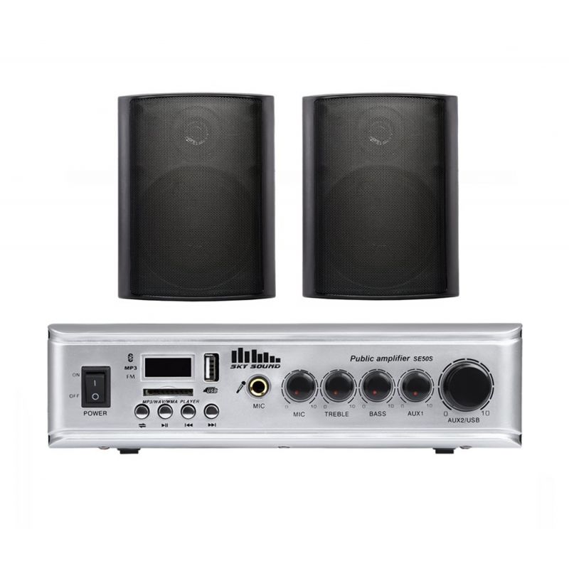 Акустический комплект SKY SOUND WSE-3002 BLACK