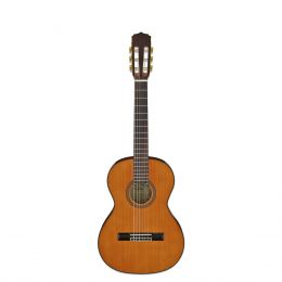 Класична гітара Aria A-20-58 N