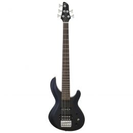 Бас-гітара Aria IGB-STD/5 MBK