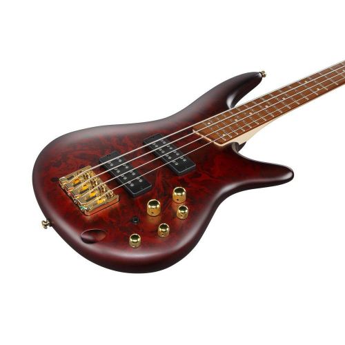 Бас-гітара Ibanez SR300EDX WZM