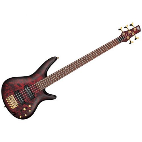 Бас-гітара Ibanez SR305EDX WZM