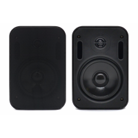 Настенная акустика SKY SOUND PM-2401B/TB