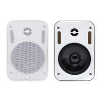 Настенная акустика SKY SOUND PM-2401W/TW