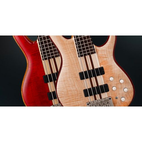 Бас-гитара CORT A5 Plus FMMH (Open Pore Black Cherry)