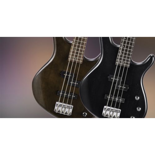 Бас-гитара CORT Action PJ (Open Pore Black)