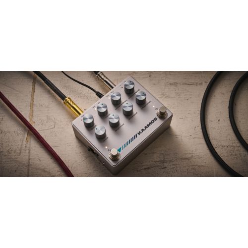 Педаль Darkglass Electronics Kaamos