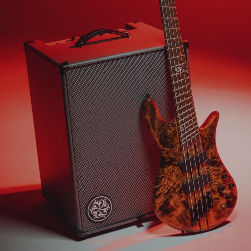 Гитарный комбоусилитель Darkglass Electronics Microtubes 500 Combo 210