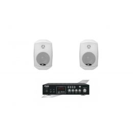 Комплект звуку DV audio MA302MS4W для приміщення до 40м.кв.