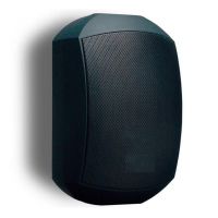 Настенная акустика DV audio MS-6.2T IP Black