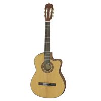 Электроакустическая гитара Aria A-10CE MTN