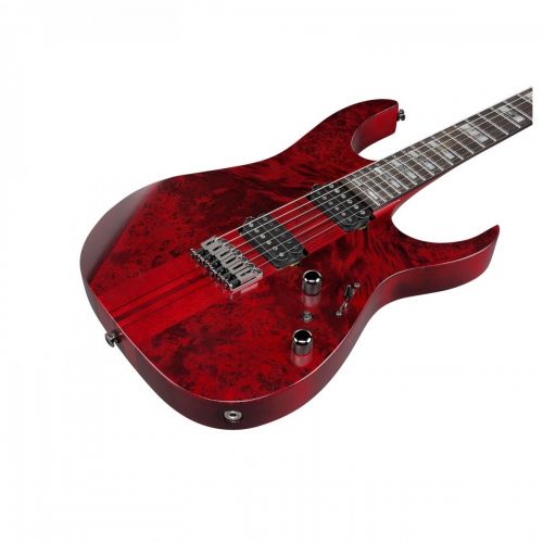 Електрогітара Ibanez RGT1221PB SWL