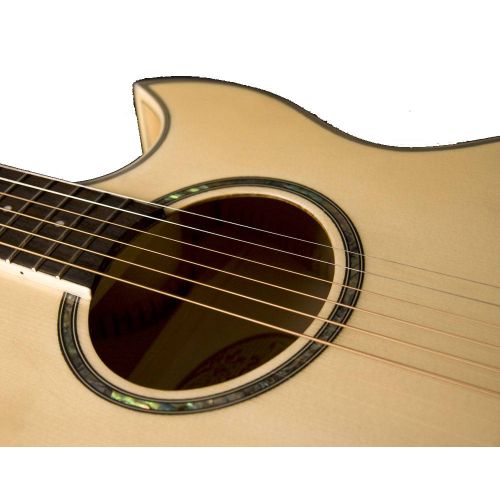 Гитара электроакустическая Washburn EA20