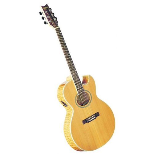 Гітара електроакустична Washburn EA20 SDL