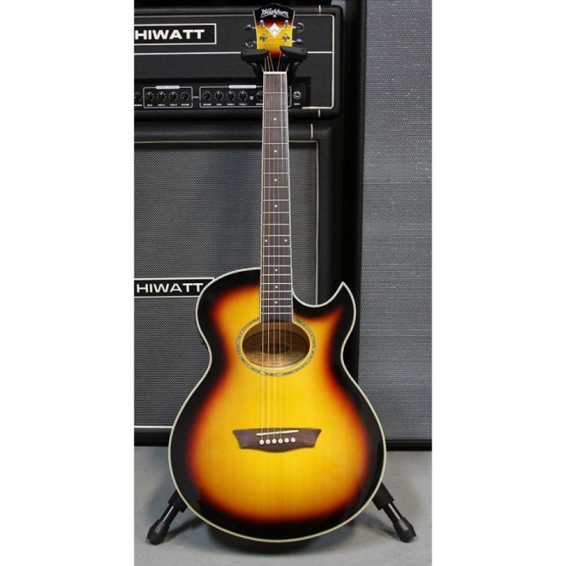 Гітара електроакустична Washburn EA20 TS