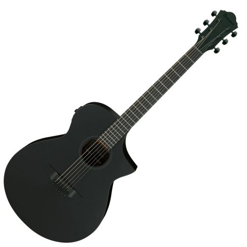 Гитара электроакустическая Ibanez AEWC621 BOT
