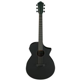 Гитара электроакустическая Ibanez AEWC621 BOT
