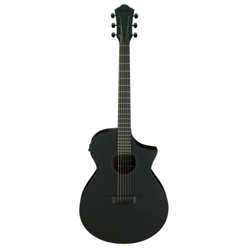 Гитара электроакустическая Ibanez AEWC621 BOT