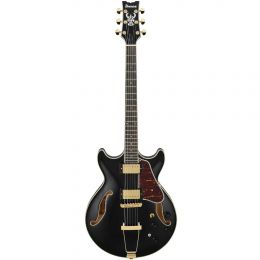 Гитара полуакустическая IBANEZ AMH90-BK