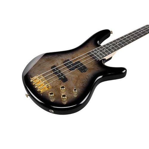 Бас-гитара Ibanez GSR200PC TPB