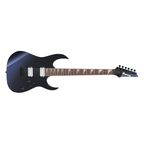 Електрогітара Ibanez RG421DX-TWS