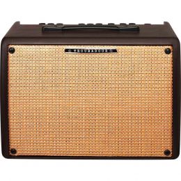 Гітарний комбопідсилювач IBANEZ T30II-U