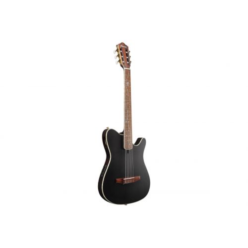 Классическая гитара Ibanez TOD10N-TKF