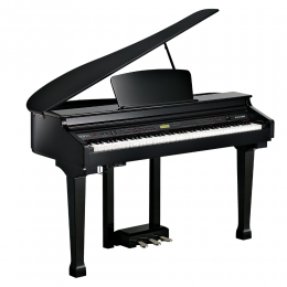 Цифровой рояль Kurzweil KAG-100 EP