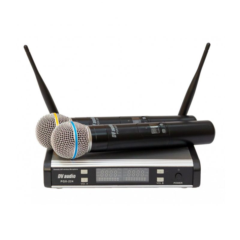 Радиосистема DV Audio PGX-224 Dual