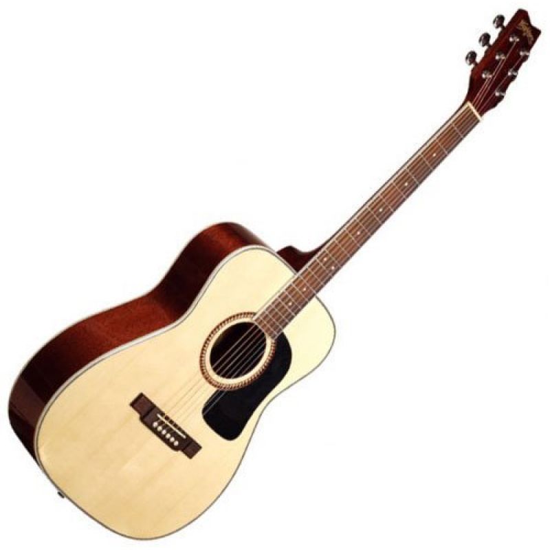 Акустическая гитара Washburn F10S