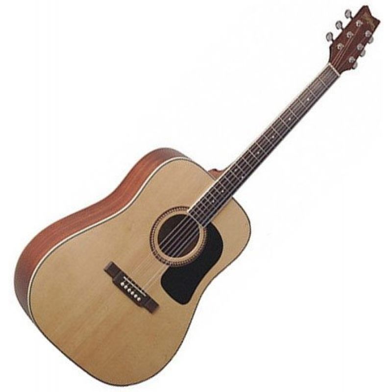 Акустическая гитара Washburn D10SOV