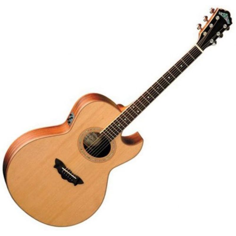 Акустическая гитара Washburn EA52 SWCE