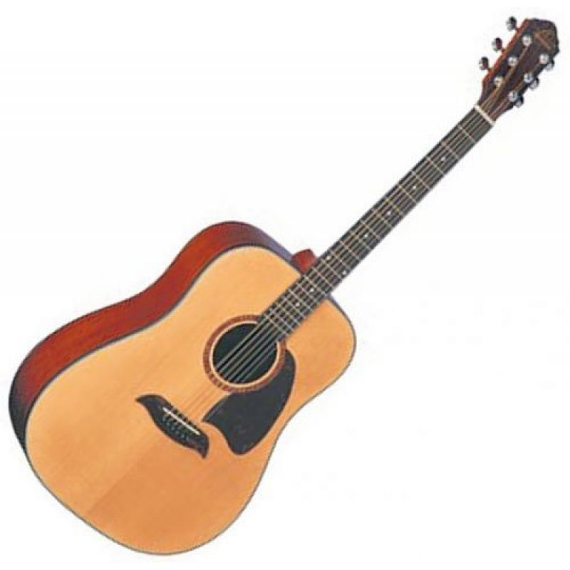 Акустическая гитара Washburn OG3