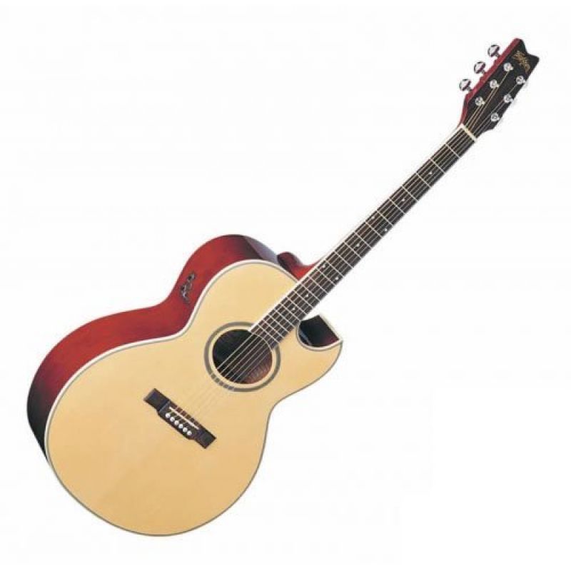 Акустическая гитара Washburn EA10