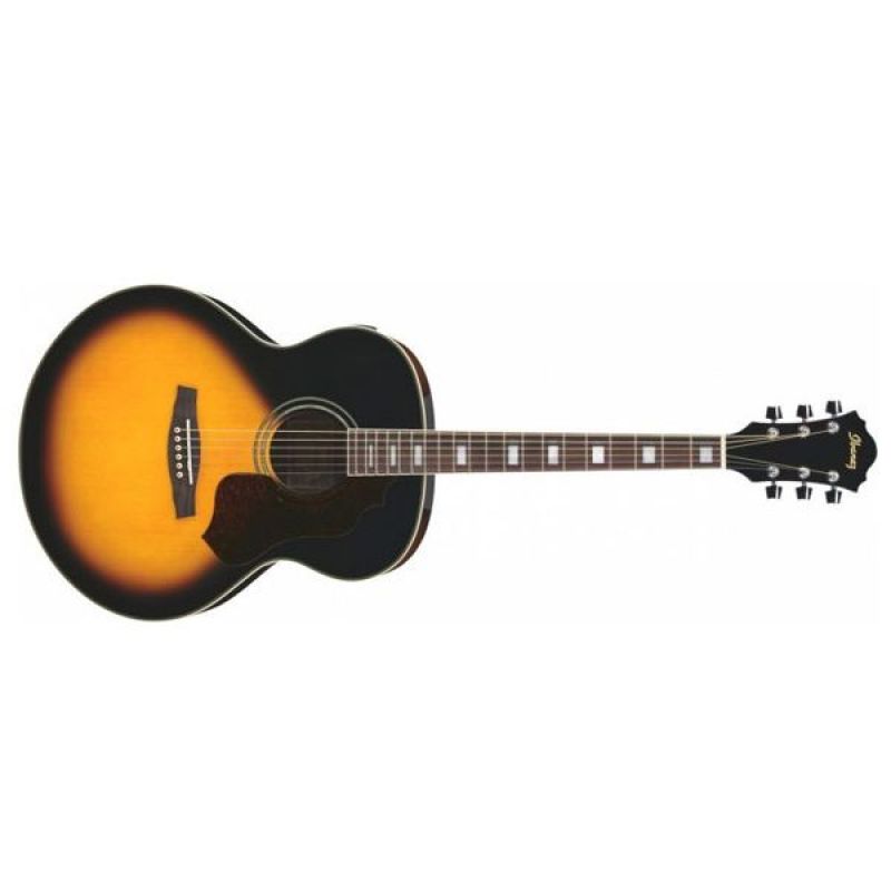 Акустическая гитара Ibanez SGT230E (VS)