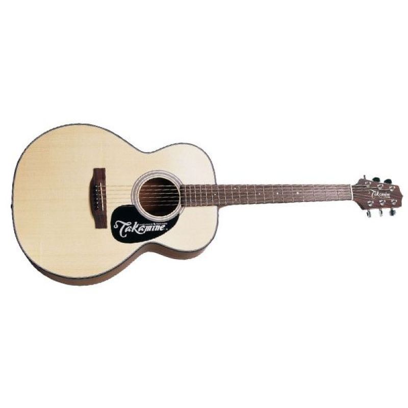 Акустична гітара Takamine G220 (NS)