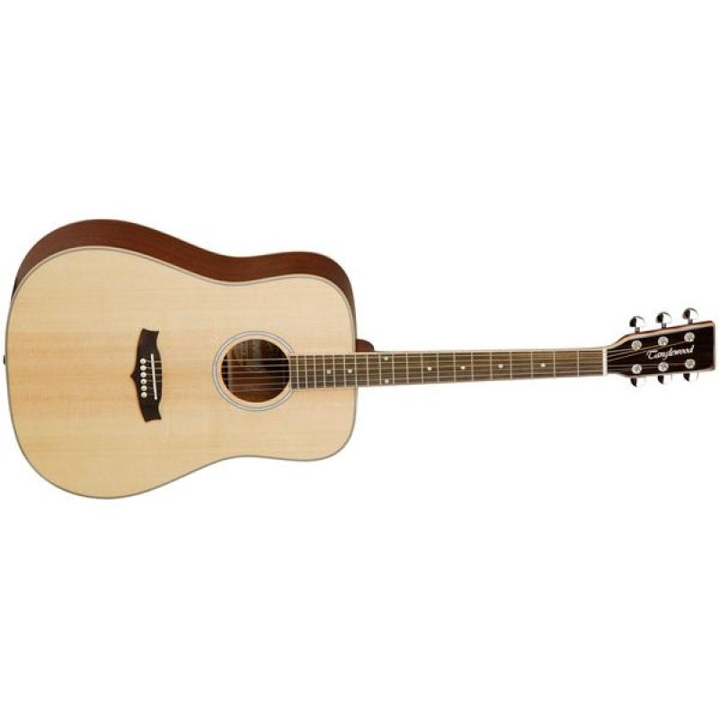 Акустическая гитара Tanglewood TW28 SSN (NAT)