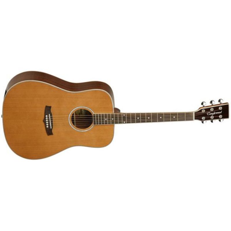 Акустична гітара Tanglewood TW28 CSG (NAT)