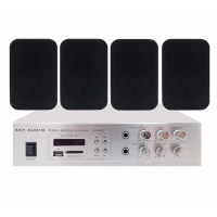 Акустичний комплект SKY SOUND WS-2404