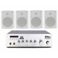 Акустический комплект SKY SOUND WSH-3004